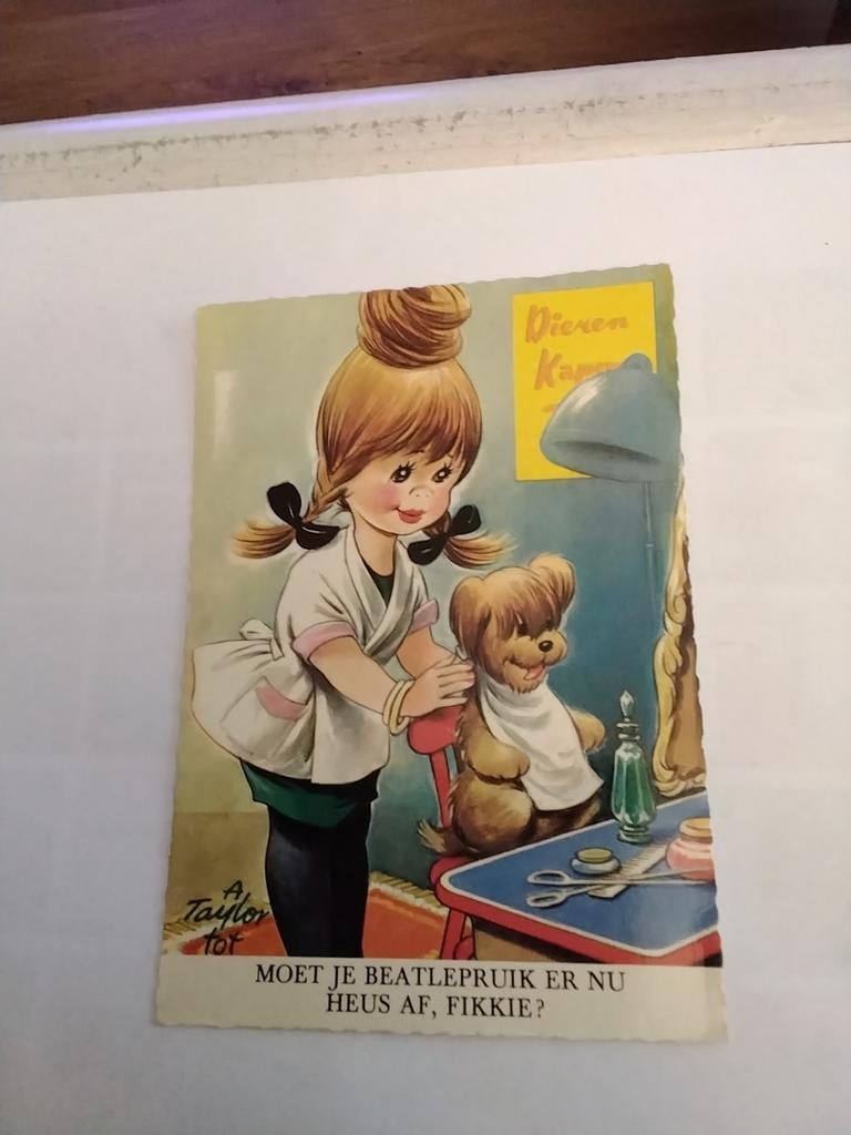 A TAYLOR TOT. HONDJE BIJ DE DIERENKAPPER, Ophalen of Verzenden, Overige thema's