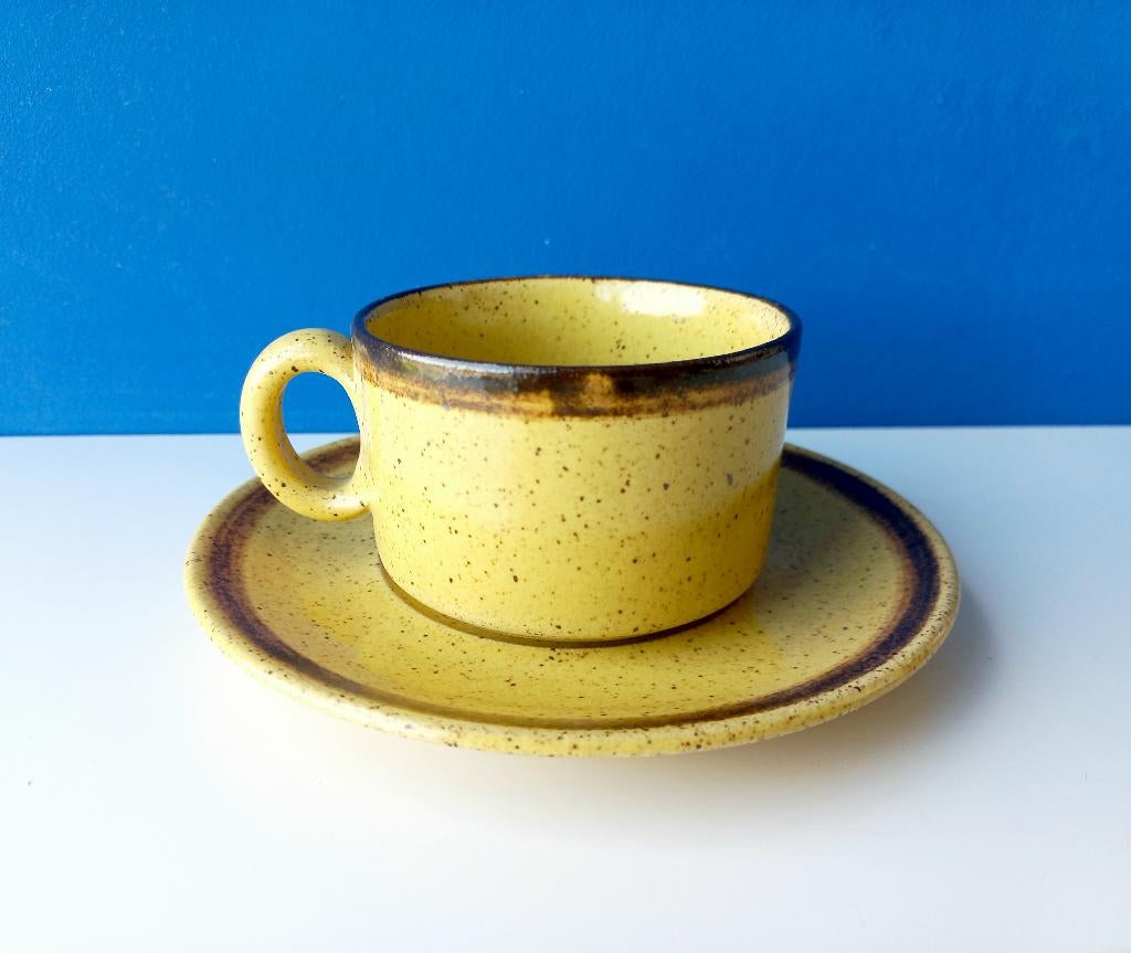 Vintage kop en schotel/Pottery Zaalberg, Gebruikt, Ophalen of Verzenden, Overige stijlen, Kop(pen) en/of Schotel(s)