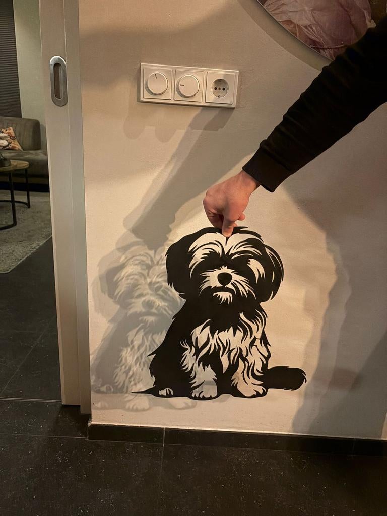 Maltezer Shih Tzu Bordje van Staal, Minder dan 50 cm, Gebruikt, Overige typen, Ophalen of Verzenden
