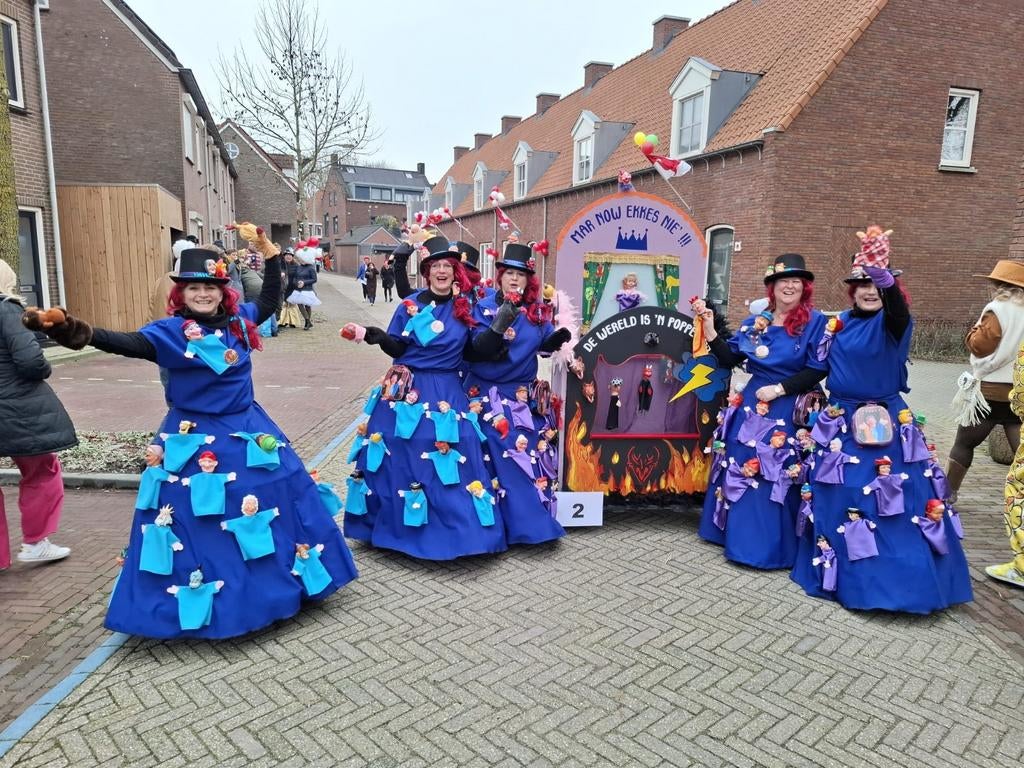 Carnaval Loopgroep 'De Wereld is een Poppenkast', Ophalen, Carnaval, Maat 42/44 (L), Zo goed als nieuw