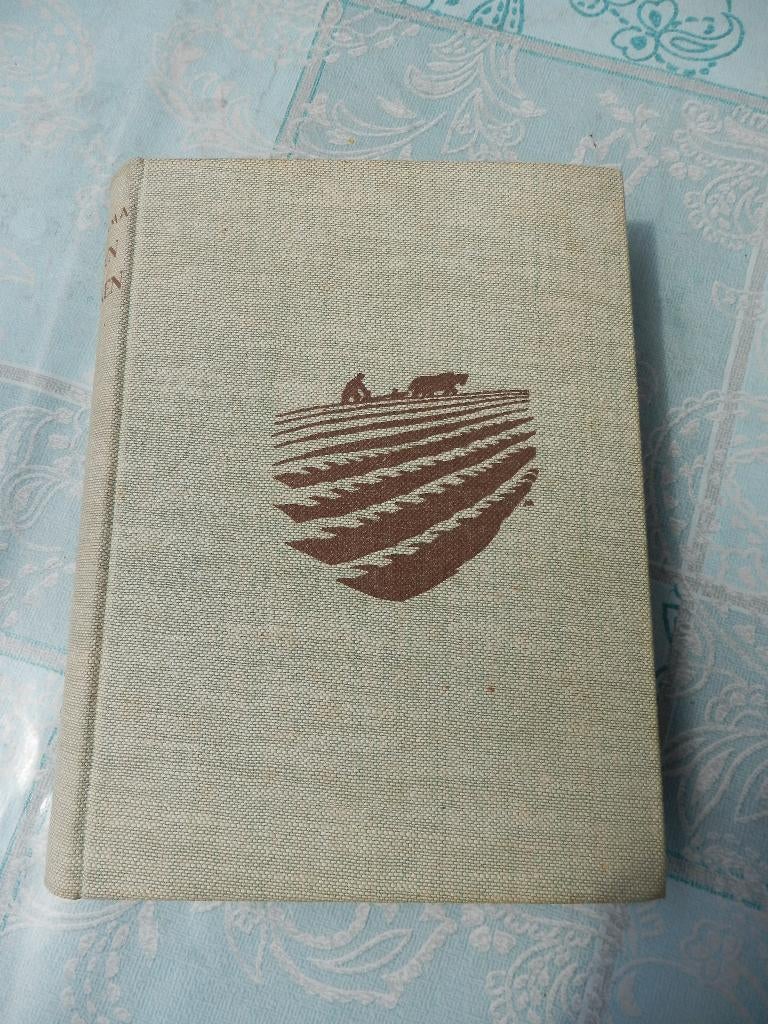 Ground en Minsken/R. Brolsma, Boeken, Ophalen of Verzenden, Gelezen, R. Brolsma