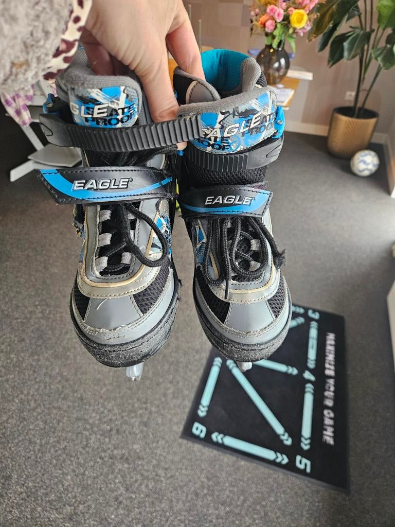 Schaatsen - Eagle Skate Proof - Maat 34-37, Ophalen of Verzenden, Gebruikt, Overige typen