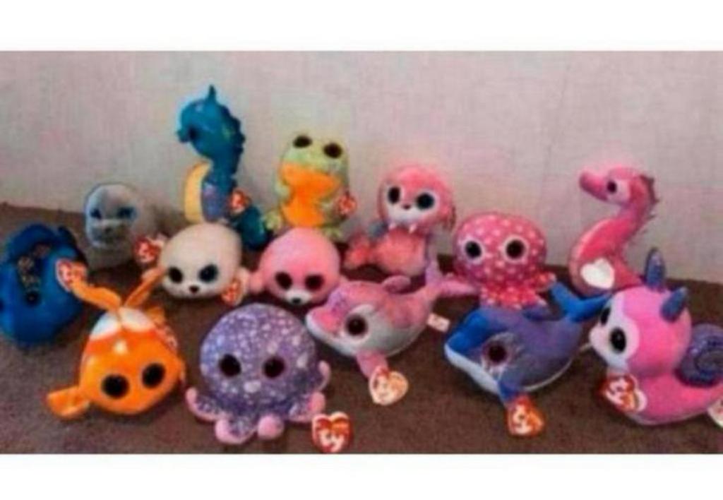 ty beanie boo nieuw met kaartje, Ophalen of Verzenden, Nieuw, Overige typen
