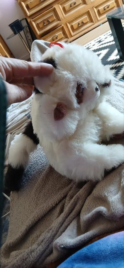 Robijn Wako Knuffel - Zachte Vriend, Ophalen of Verzenden, Zo goed als nieuw, Overige typen