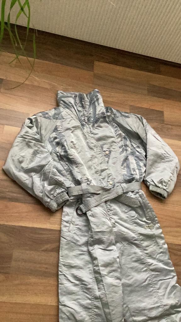 Skipak, zilvergrijs, maat 40, Overige merken, 160 tot 180 cm, Ophalen of Verzenden, Zo goed als nieuw