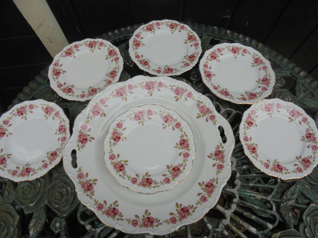 Gebakstel Seltmann Weiden Bavaria met roze bloemetjes rand, Ophalen of Verzenden