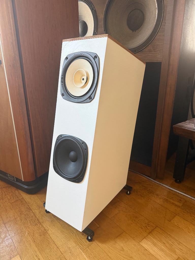 Fostex luidsprekers, Gebruikt, Minder dan 60 watt, Front, Rear of Stereo speakers, Ophalen