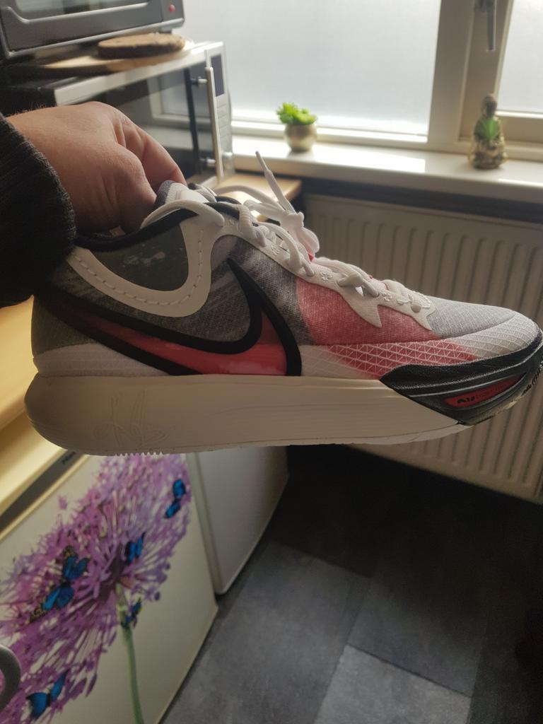 Nike schoenen 42.5, Ophalen, Schoenen