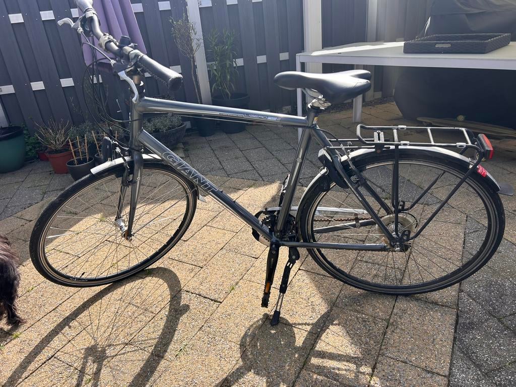 Giant herenfiets, Versnellingen, Zo goed als nieuw, 57 tot 61 cm, Giant