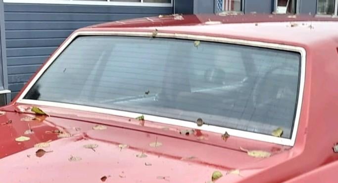 Achterraam Chevrolet Caprice achterruit, Ophalen of Verzenden, Chevrolet