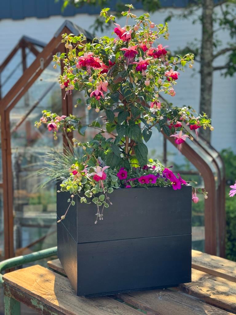 Nieuw, grote voorraad | Plantenbak | Bloembak | Bloempot, Tuin en Terras, Bloembakken en Plantenbakken, Gebruikt, Hout, Tuin, 30 tot 60 cm