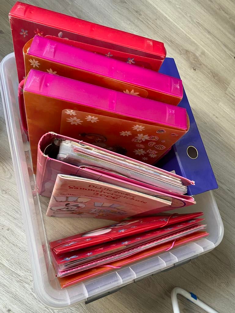 Grote doos vol Diddl spullen - verzameling, Ophalen of Verzenden, Diddl, Gebruikt, Overige typen