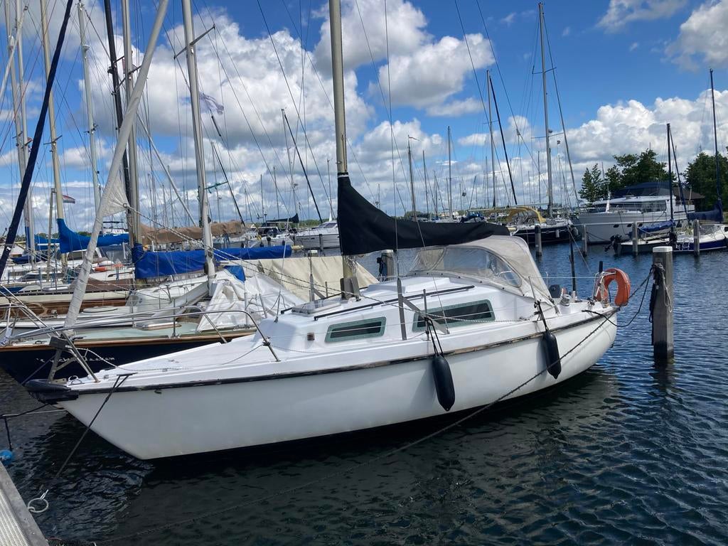 Zeilboot Daimio, Watersport en Boten, Kajuitzeilboten en Zeiljachten, Ophalen, Gebruikt, Overige brandstoffen, Tourjacht of Cruiser