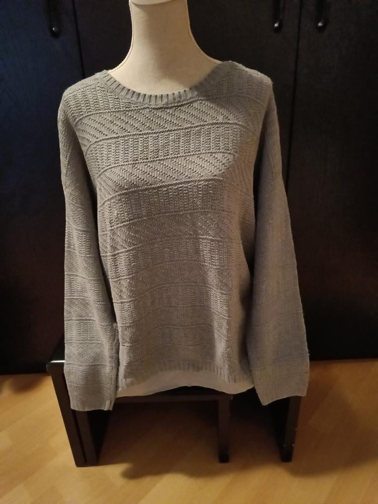 Grijze trui met lange mouwen maat L, Kleding | Dames, Truien en Vesten, Ophalen of Verzenden, Zo goed als nieuw, Grijs