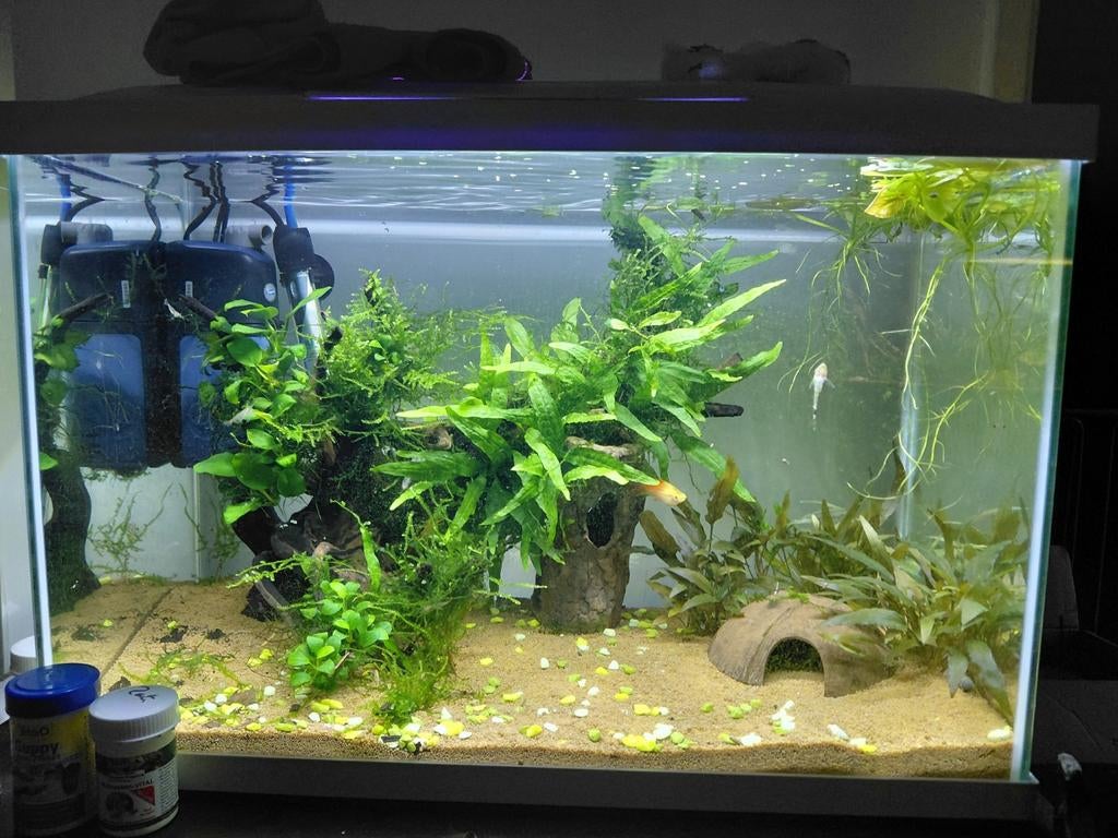 Superfish 70, Dieren en Toebehoren, Vissen | Aquaria en Toebehoren, Ophalen, Leeg aquarium