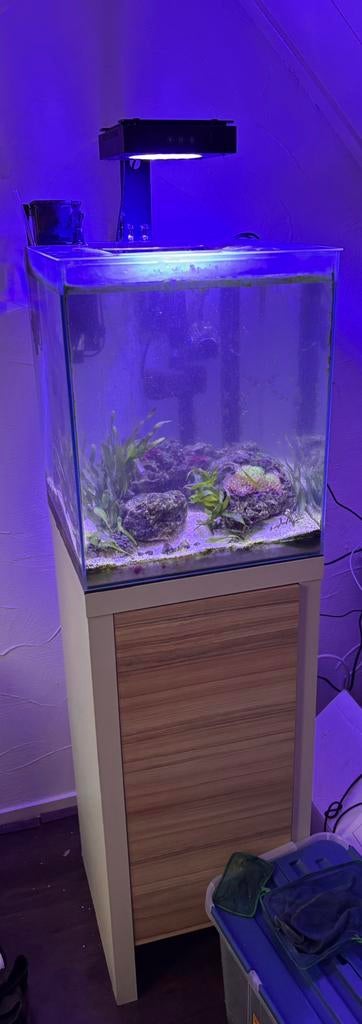 Zeeaquarium compleet met levende have, Dieren en Toebehoren, Vissen | Aquaria en Toebehoren, Ophalen, Gebruikt