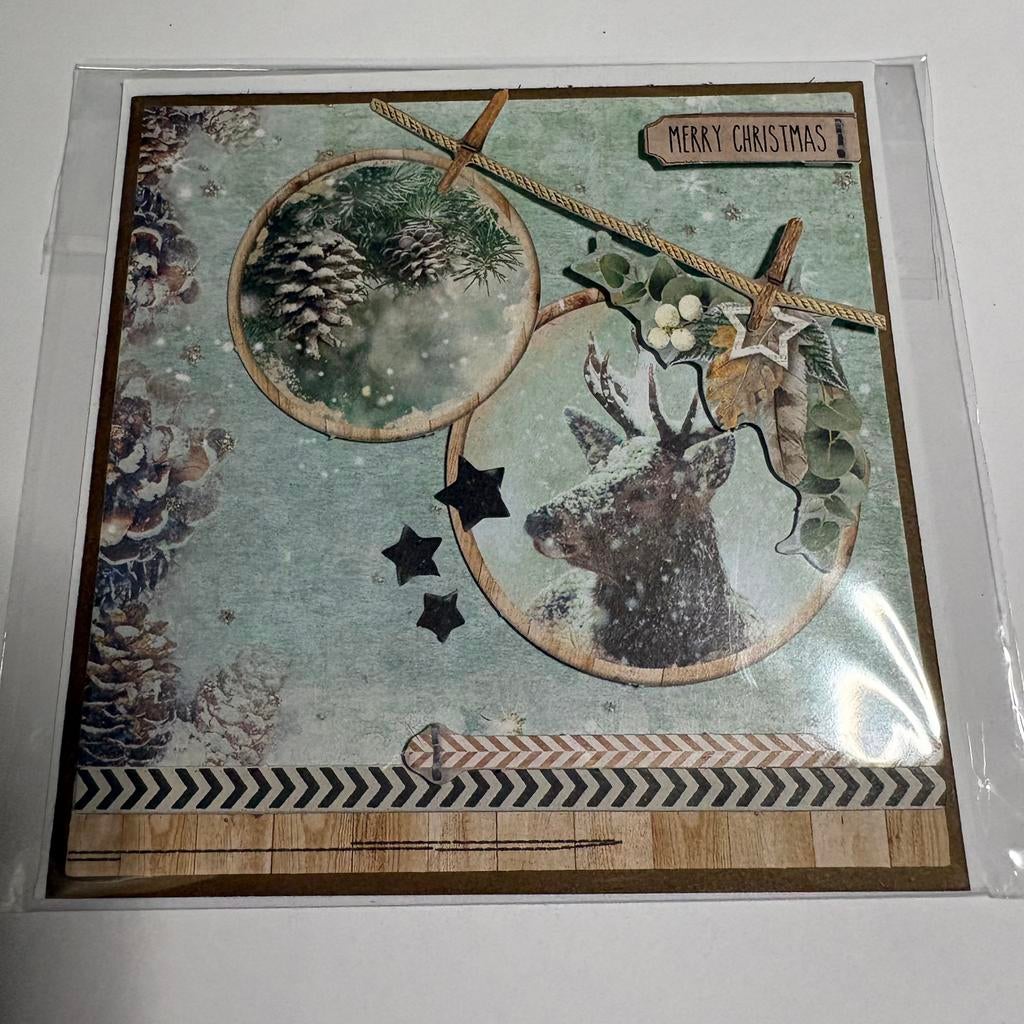 Studio light kerstkaart winter feelings 5, Ophalen of Verzenden, Nieuw, Overige thema's