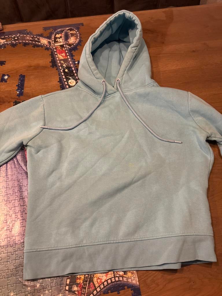 Lichtblauwe hoodie Amy & Ivy (The Sting) - Maat S, Kleding | Dames, Truien en Vesten, Ophalen of Verzenden, Zo goed als nieuw