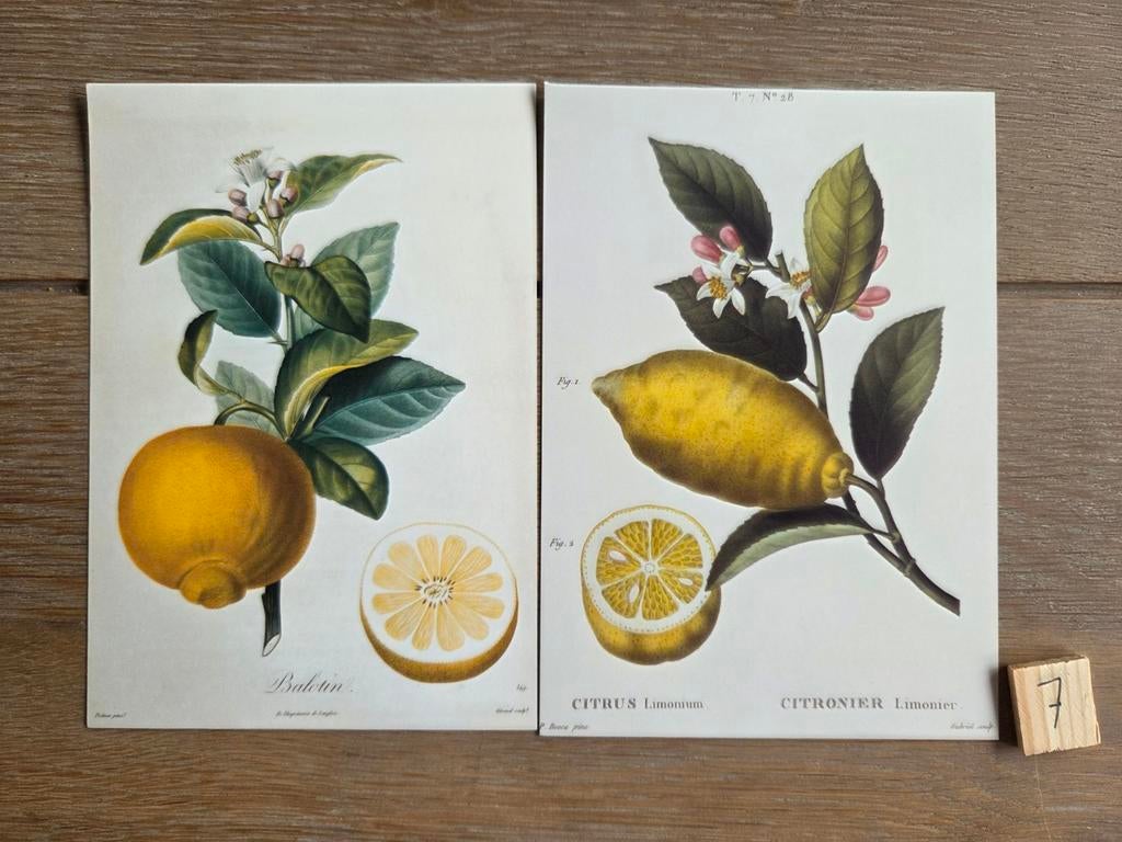 FRUIT 7, Ophalen, Overige thema's