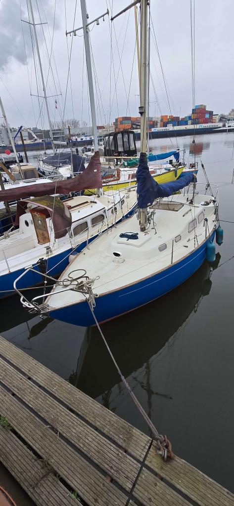 Amigo 27 kajuitzeiljacht bouwjaar 1984, Gebruikt, Tourjacht of Cruiser, Polyester, 6 tot 9 meter