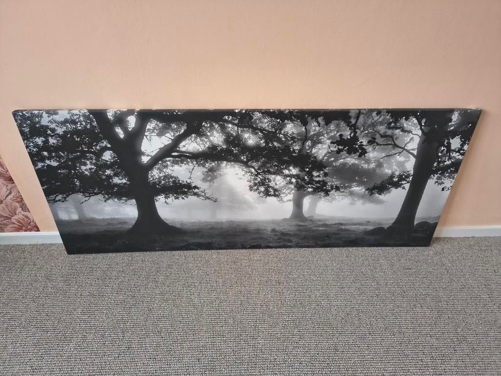 IKEA PJÄTTERYD Canvas Schilderij, Ophalen, 50 tot 75 cm, 125 cm of meer, Zo goed als nieuw