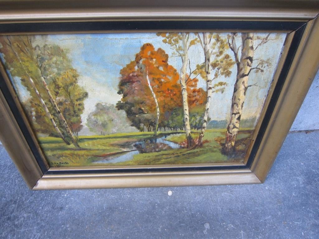 Natuur schilderij "" De biesbosch "" ?? SIGN DA van HOUTS, Antiek en Kunst, Kunst | Schilderijen | Klassiek, Ophalen