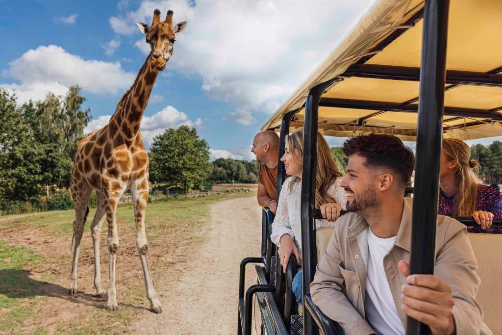 3 kaartjes - Safaripark Beekse Bergen - 30 mei, Tickets en Kaartjes, Drie personen of meer, Ticket of Toegangskaart