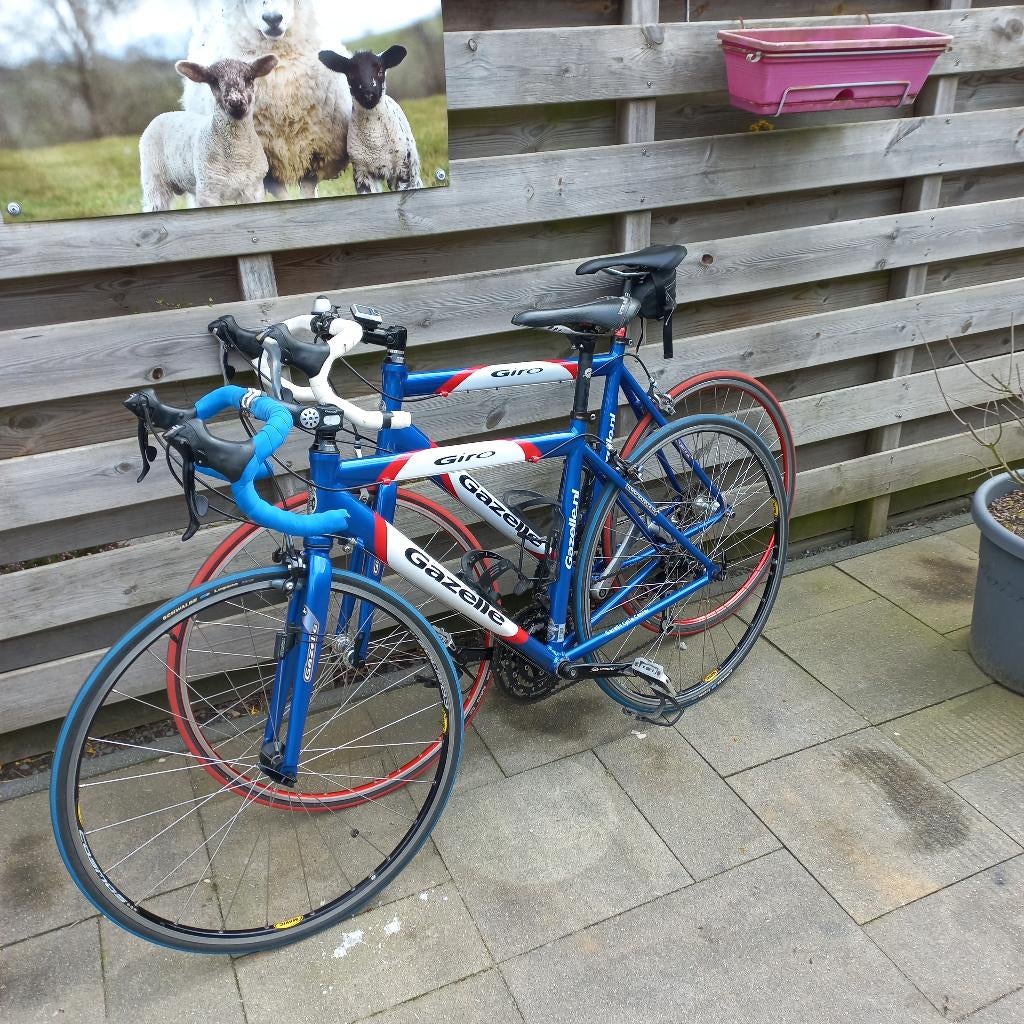 Set Gazelle Giro Racefietsen, Ophalen, Gebruikt, Aluminium, Overige maten