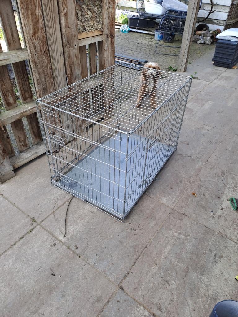 Stalen Bench 90X60 met divider, Ophalen, Gebruikt, Minder dan 65 cm, Hondenhok