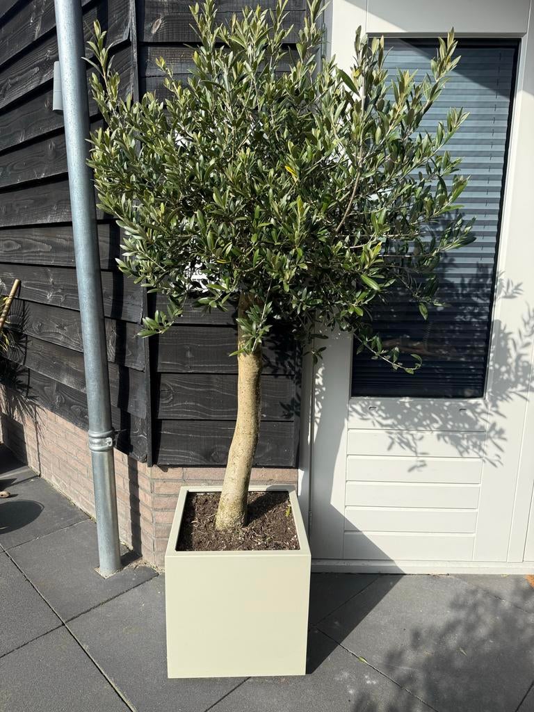 Stalen Plantenbak 40x40x40cm - Diverse RAL Kleuren, Ophalen, Minder dan 60 cm, Vierkant, Nieuw