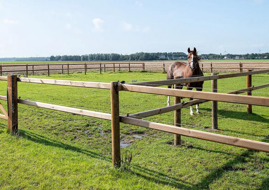 Stalling & weide gezocht!, Dieren en Toebehoren, Stalling en Weidegang, Stalling, 4 paarden of pony's of meer