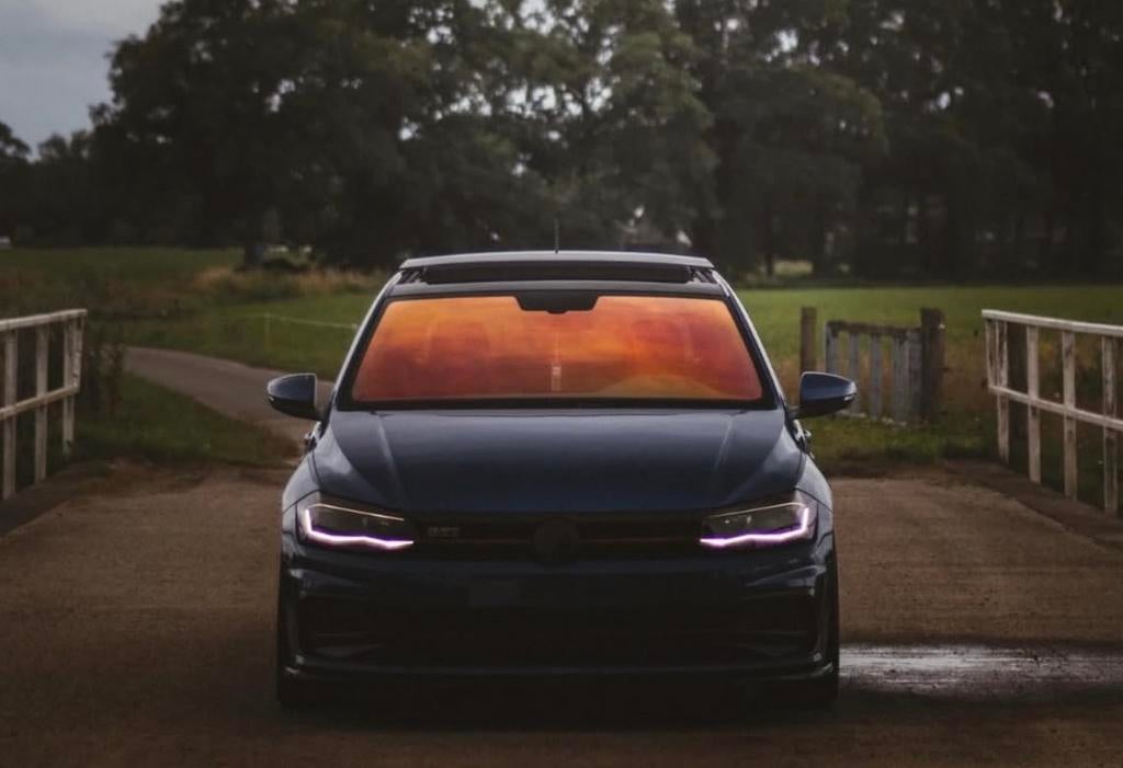 Chameleon tint ACTIE, Ophalen