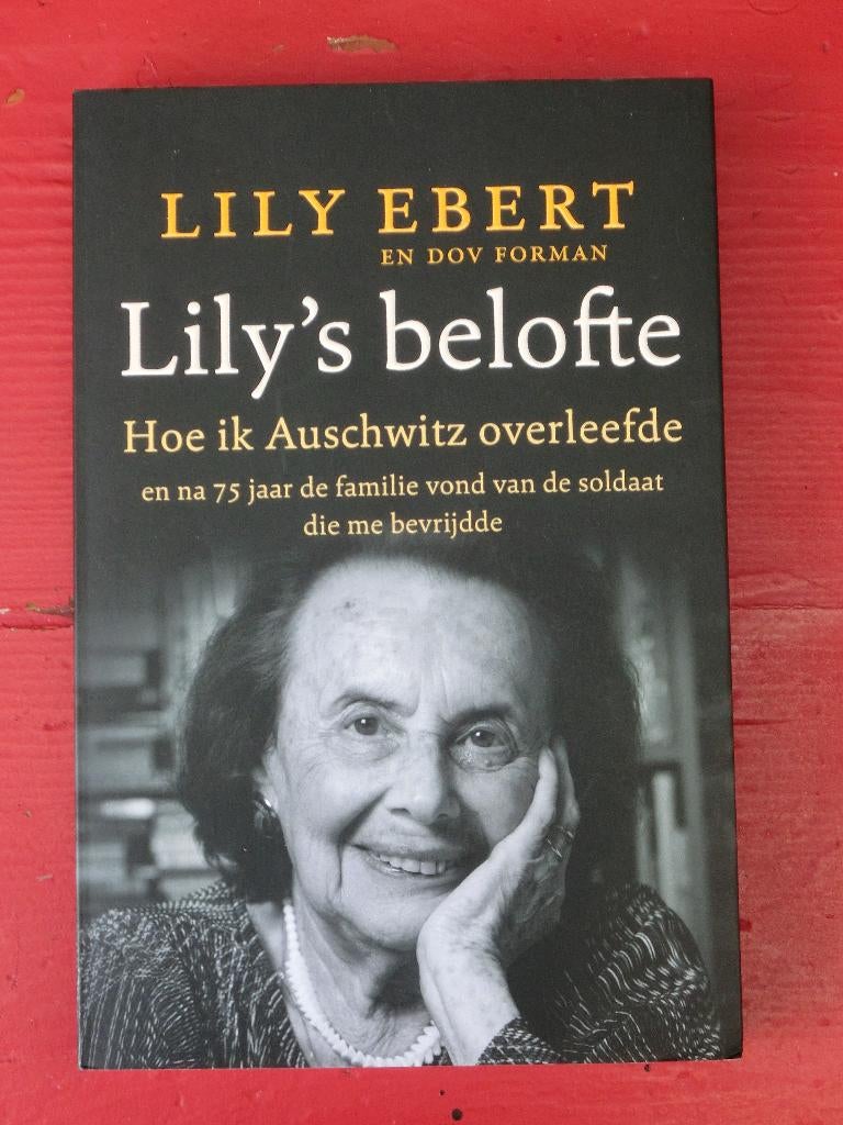 lily's belofte, Lily Ebert, Overige, Ophalen of Verzenden, Zo goed als nieuw
