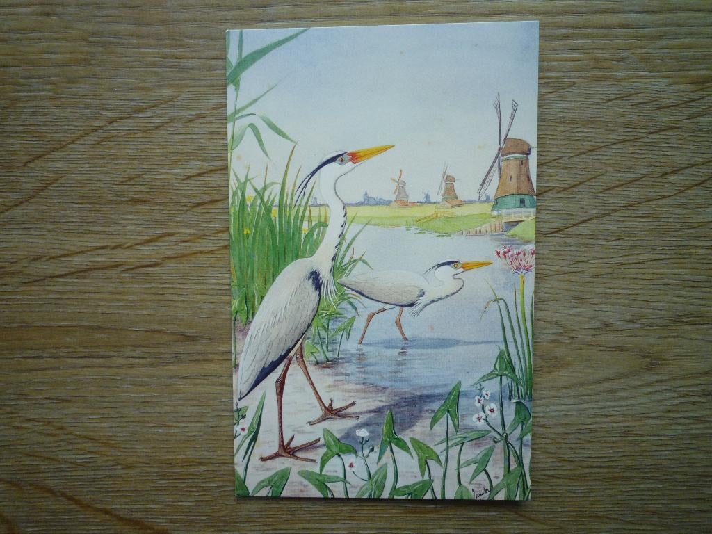 Reiger reigers vogels door Jan van Oort Zaans Museum, Ophalen of Verzenden, Voor 1920, Vogel