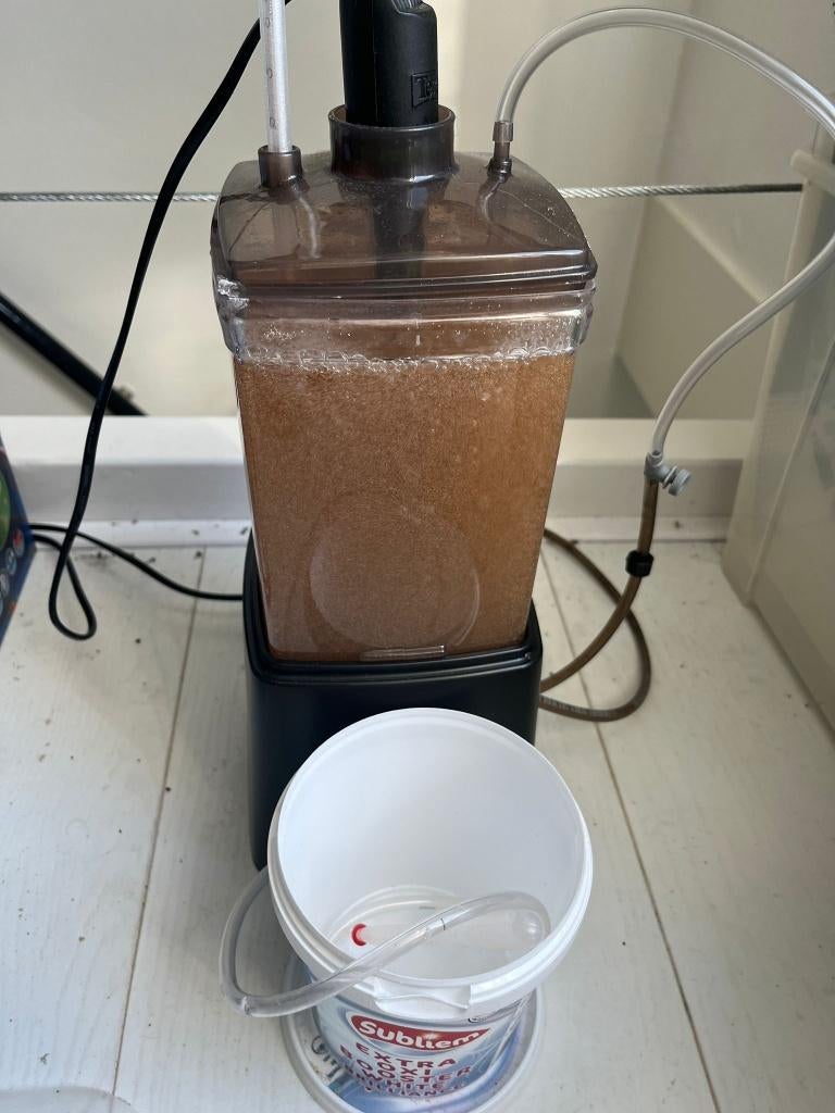 Vers levend artemia voer – op bestelling (Zwolle), Dieren en Toebehoren, Dierenvoeding, Vis, Ophalen