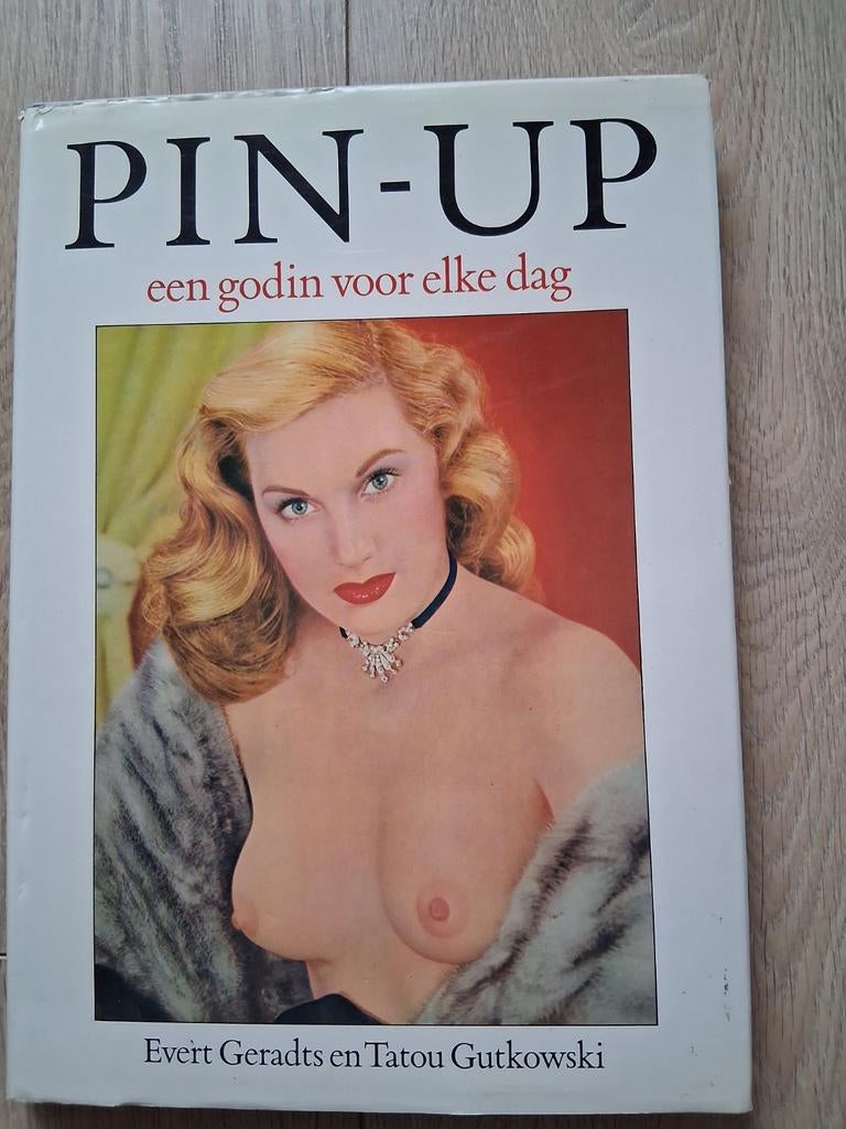 Pin up voor elke dag, Ophalen of Verzenden, Gelezen, Overige onderwerpen