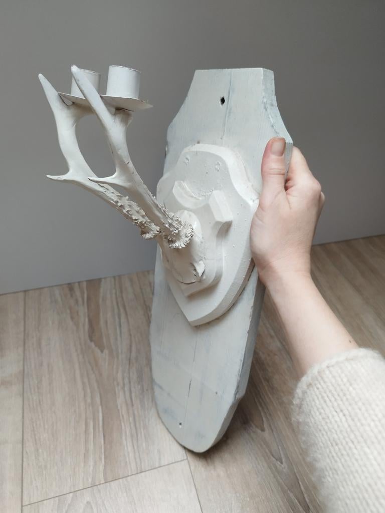 Hertengewei op houten Schild Brocante Sober, Huis en Inrichting, Verzenden