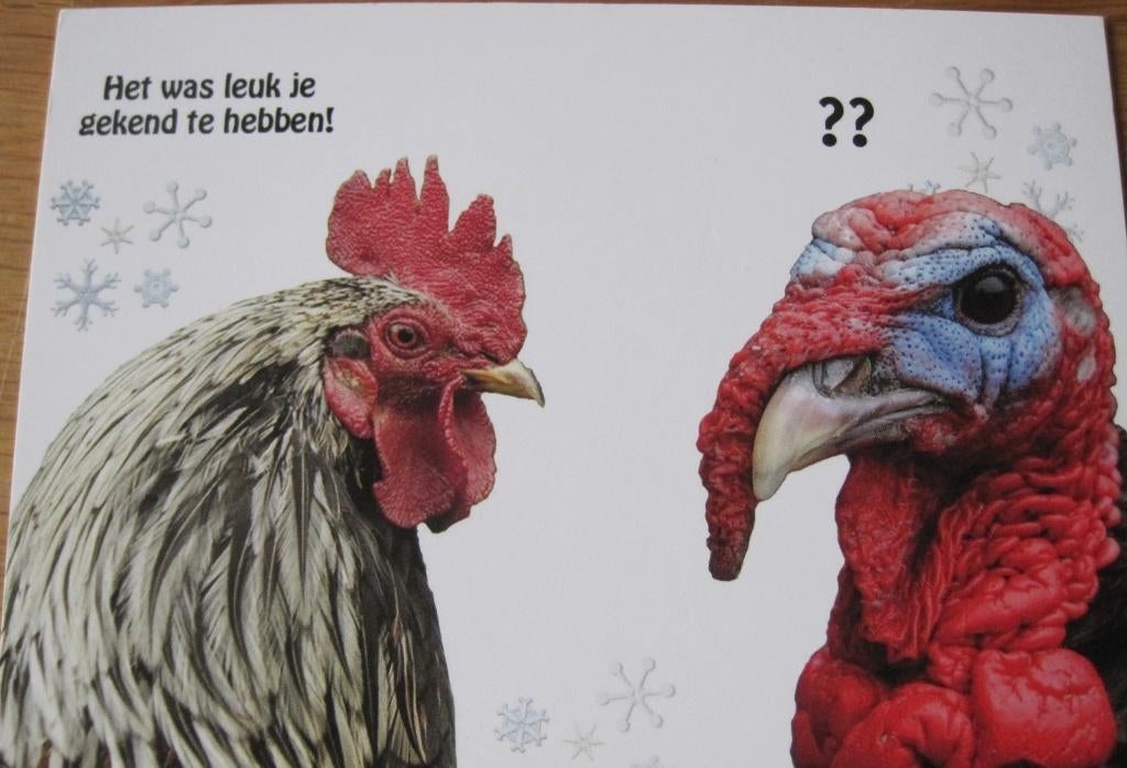 Het was leuk je gekend te hebben - kalkoen en kip - nieuw, Verzenden, 1980 tot heden, Ongelopen, Overige thema's