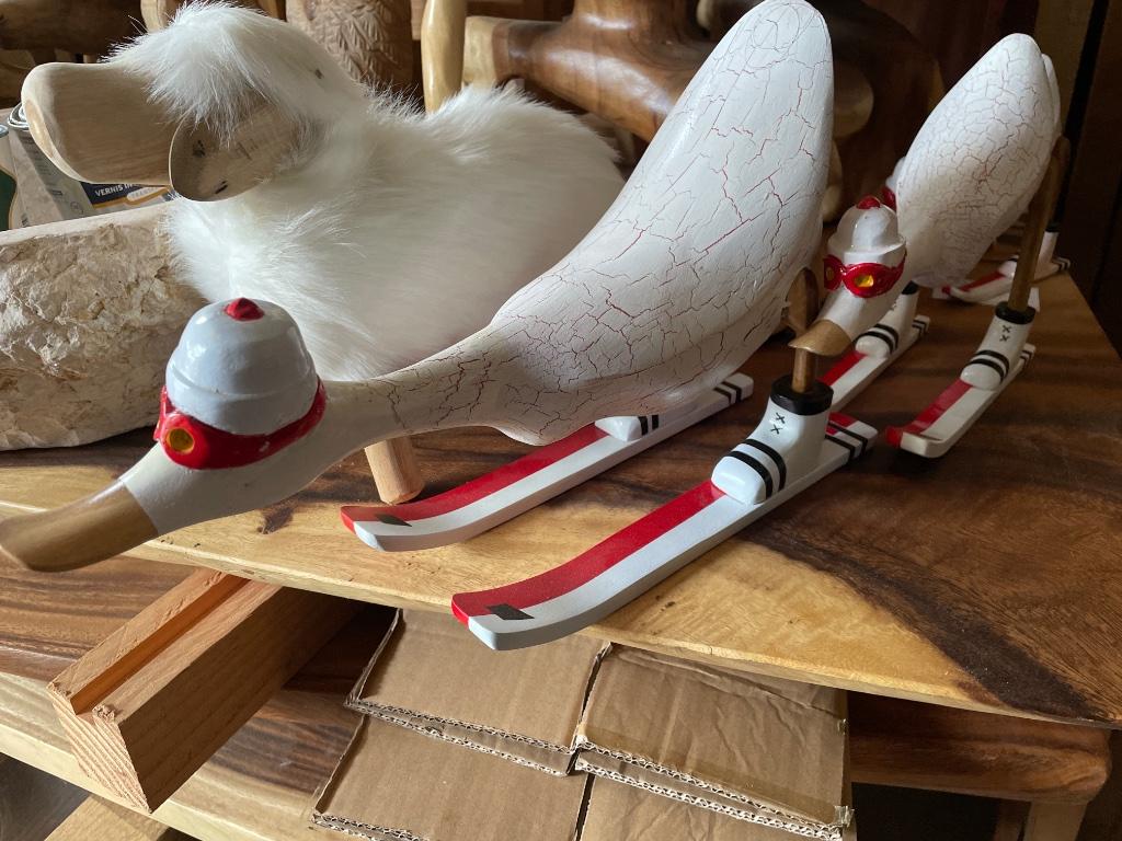 Feijenoord eenden ski Suar teakhout