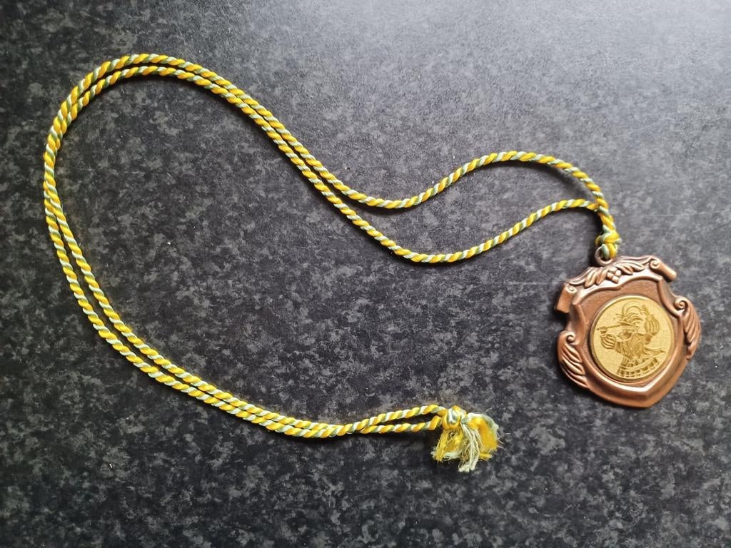 Carnavals medaille onderscheiding CV De Peelvrujters, Ophalen, Overige materialen, Nederland