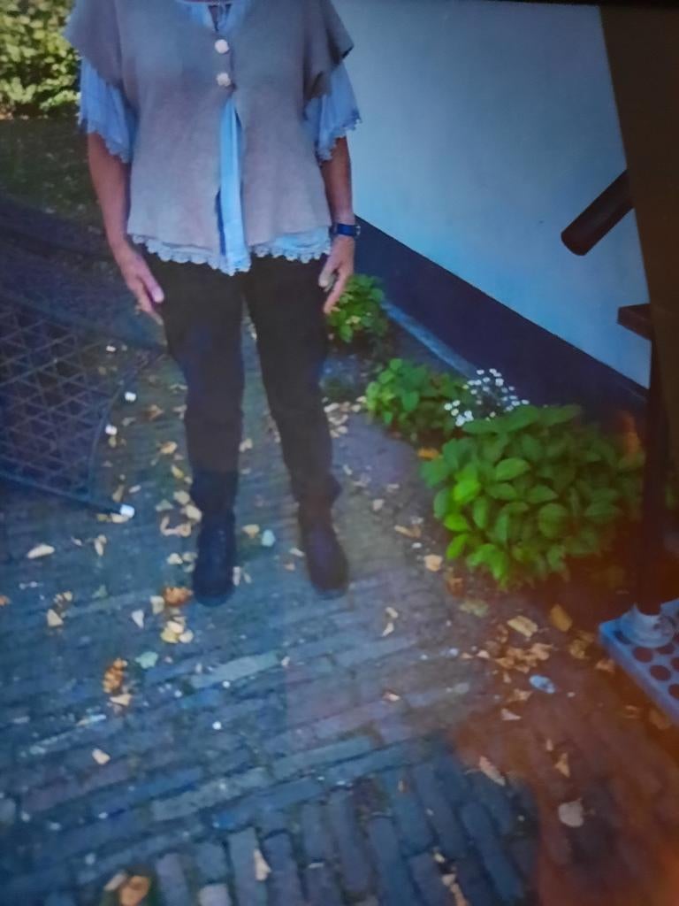 Leuke zgan zandkleurige spencer  maat L, Ophalen of Verzenden, Zo goed als nieuw, Maat 42/44 (L), Beige