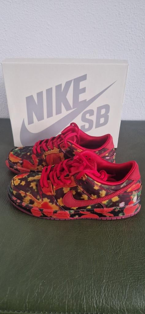 Nike sb dunk low, wizard of os, Ophalen of Verzenden, Nieuw, Jongen of Meisje, Schoenen