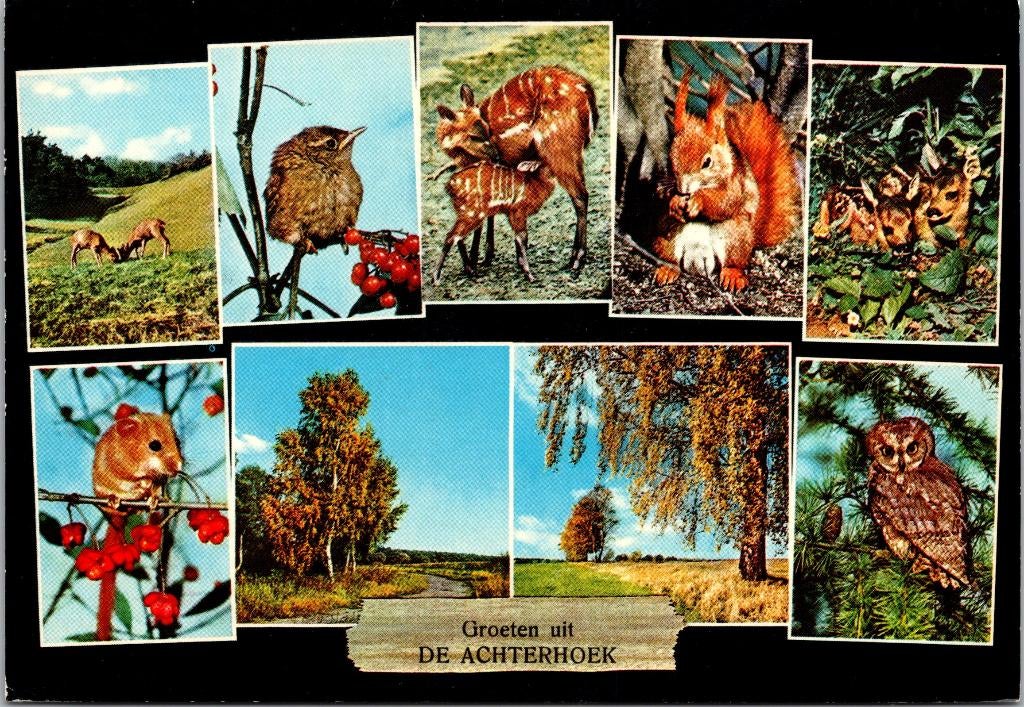 De Achterhoek - 3 ansichtkaarten (1972), Ophalen of Verzenden, 1960 tot 1980, Gelopen, Gelderland