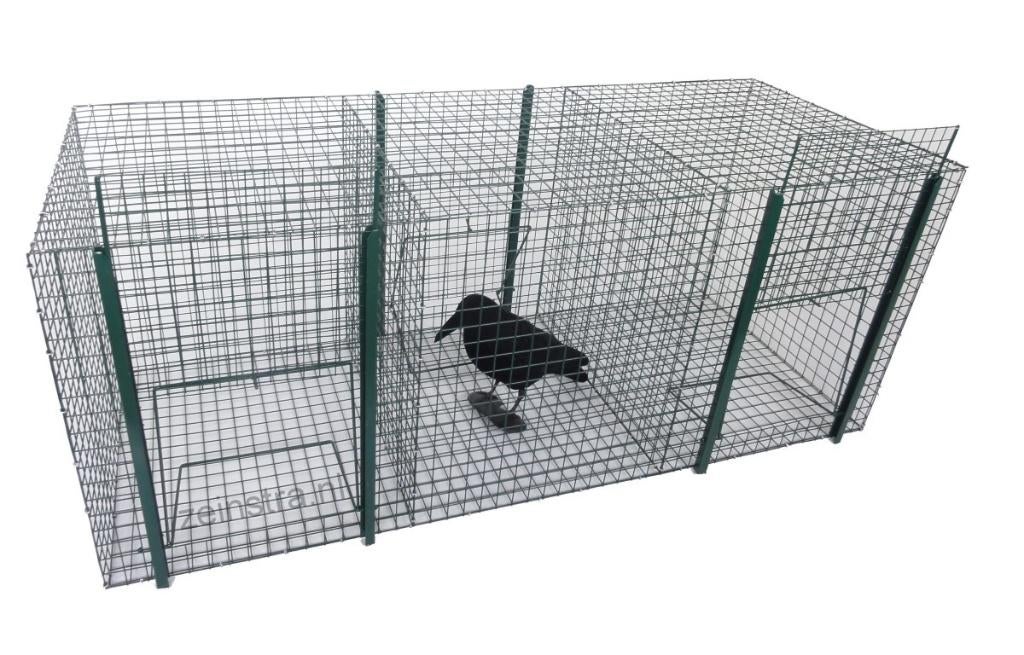 Ekstervangkooi kraaien duiven vangkooi ekster kauwtjes kraai, Dieren en Toebehoren, Vogels | Hokken en Kooien, Verzenden, Nieuw