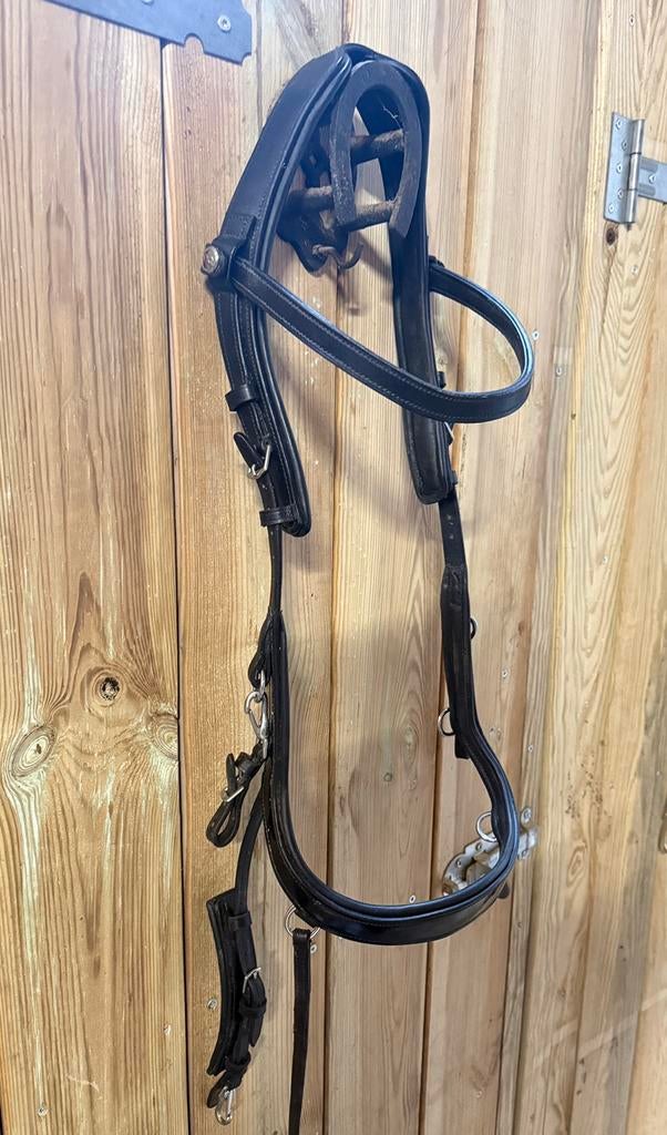 Hoofstel Presteq Faysport cob, Dieren en Toebehoren, Ophalen of Verzenden, Zo goed als nieuw, Dressuur