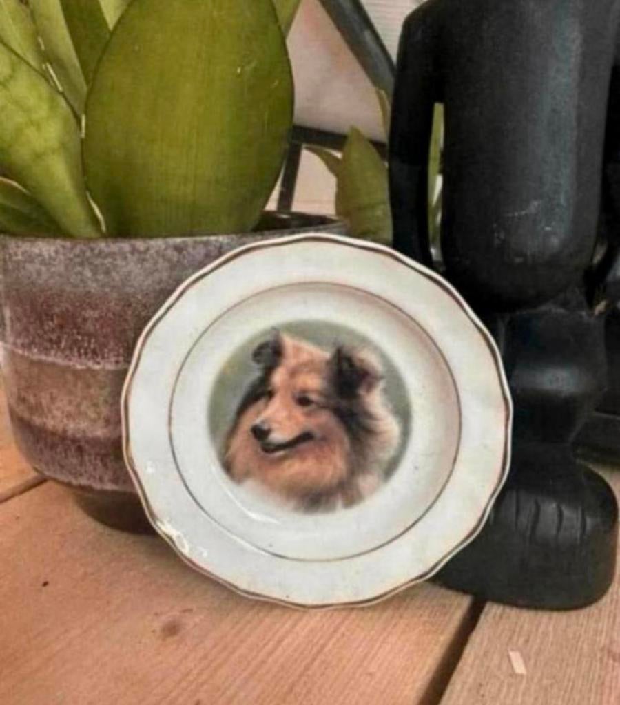 Schoteltje van het merk faithful friends met een sheltie, Ophalen of Verzenden, Nieuw, Overige stijlen, Bord(en)