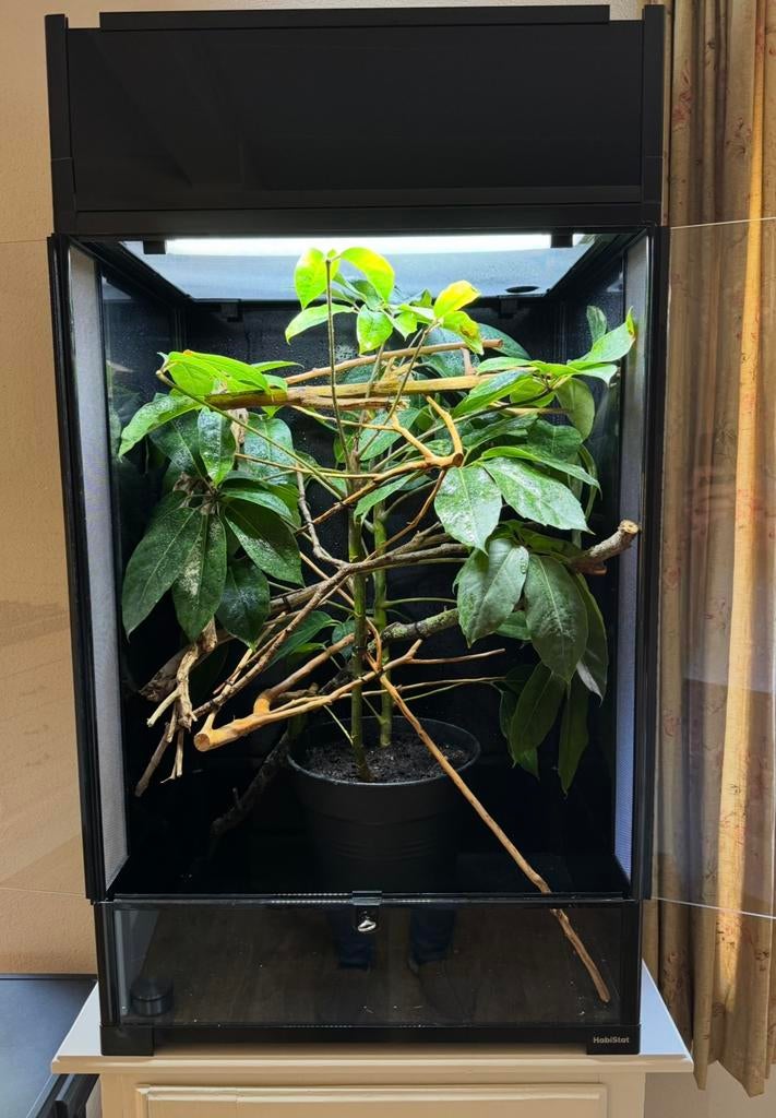 Habistat terrarium 60x90x45 met ventilatie roosters, Ophalen, Gebruikt, Terrarium of Paludarium