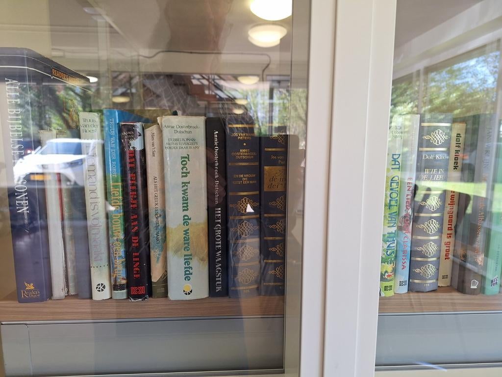 Diverse romans en boeken te koop, Huis en Inrichting, Woonaccessoires | Cd- en Dvd-rekken, Ophalen of Verzenden, Zo goed als nieuw