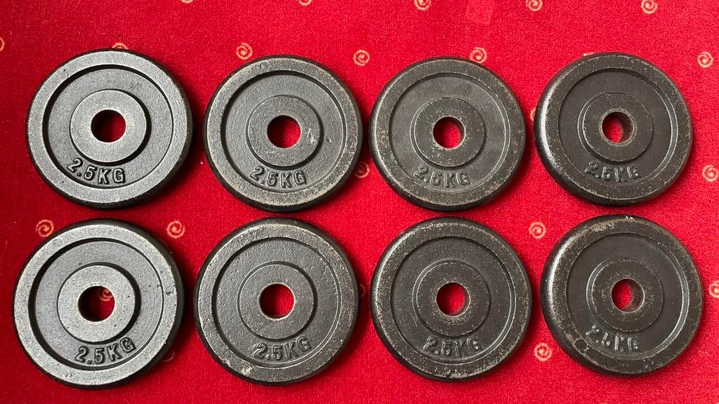 Gietijzeren halterschijven / gewichten 8x2,5 kg, Sport en Fitness, Fitnessmaterialen, Ophalen, Zo goed als nieuw
