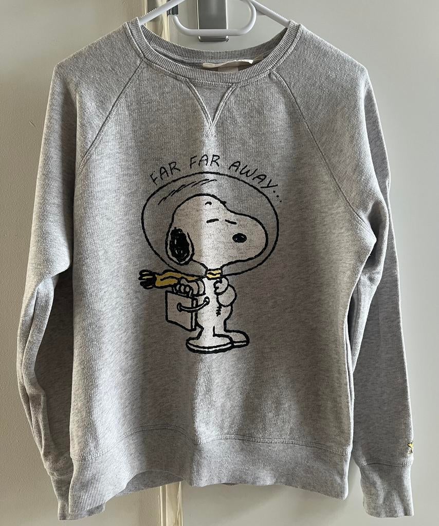 Snoopy sweater, size xs, Kleding | Dames, Ophalen of Verzenden, Zo goed als nieuw, Maat 34 (XS) of kleiner, Grijs
